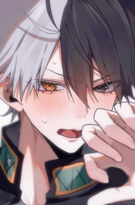 hanaiutakemichi