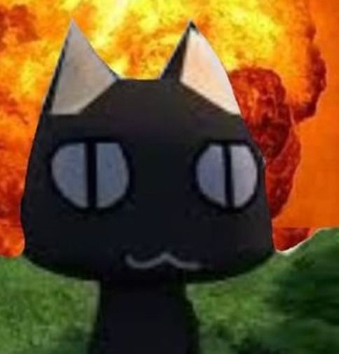 Meii