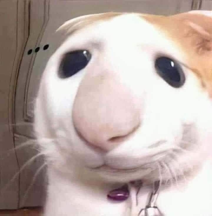 embechuche