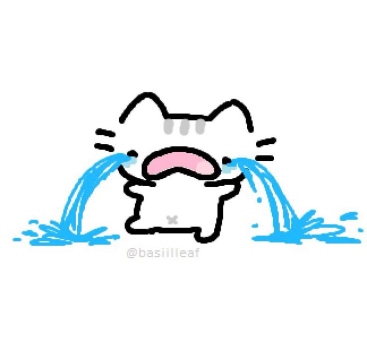kitty