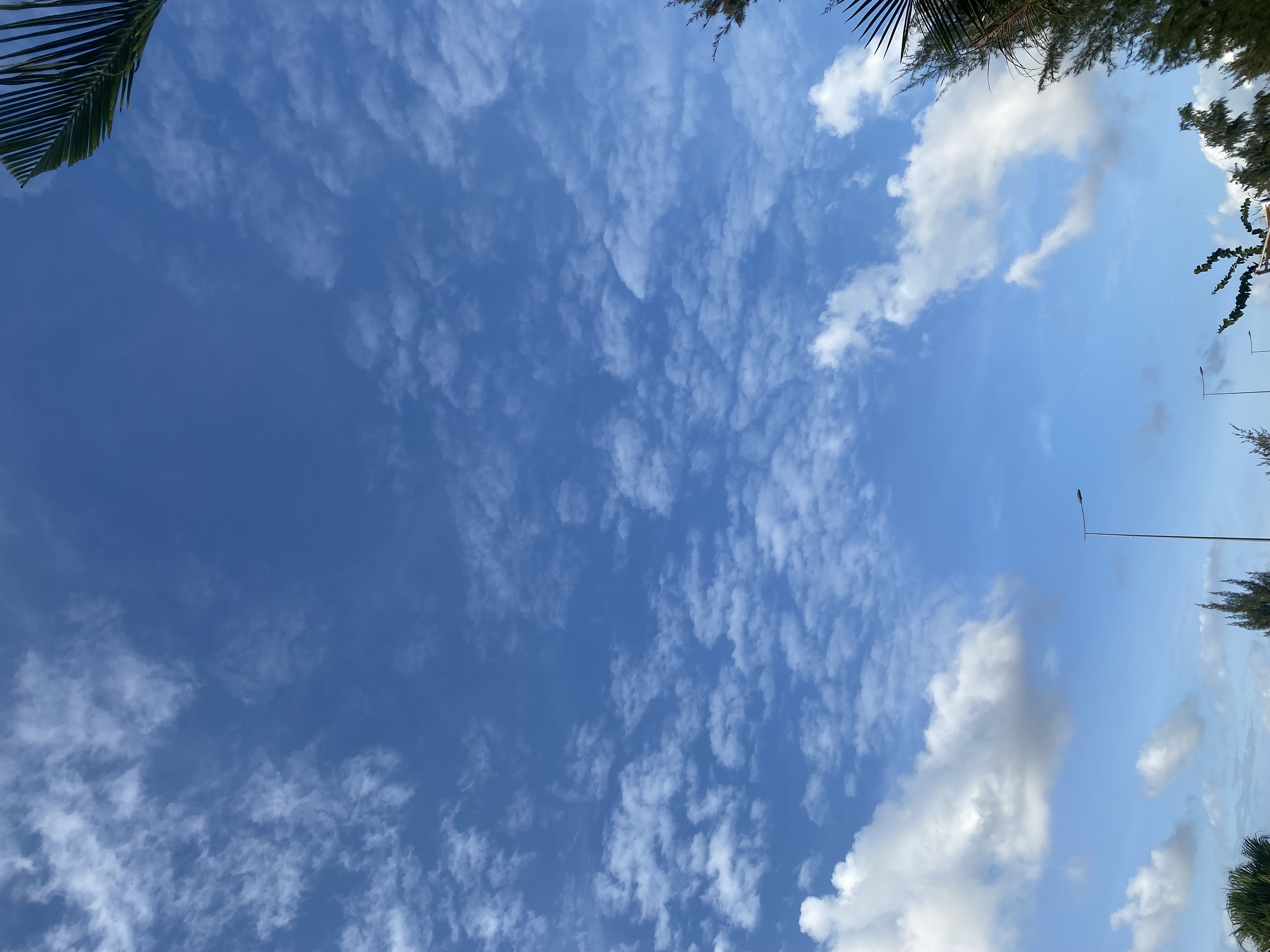 Người trên mây