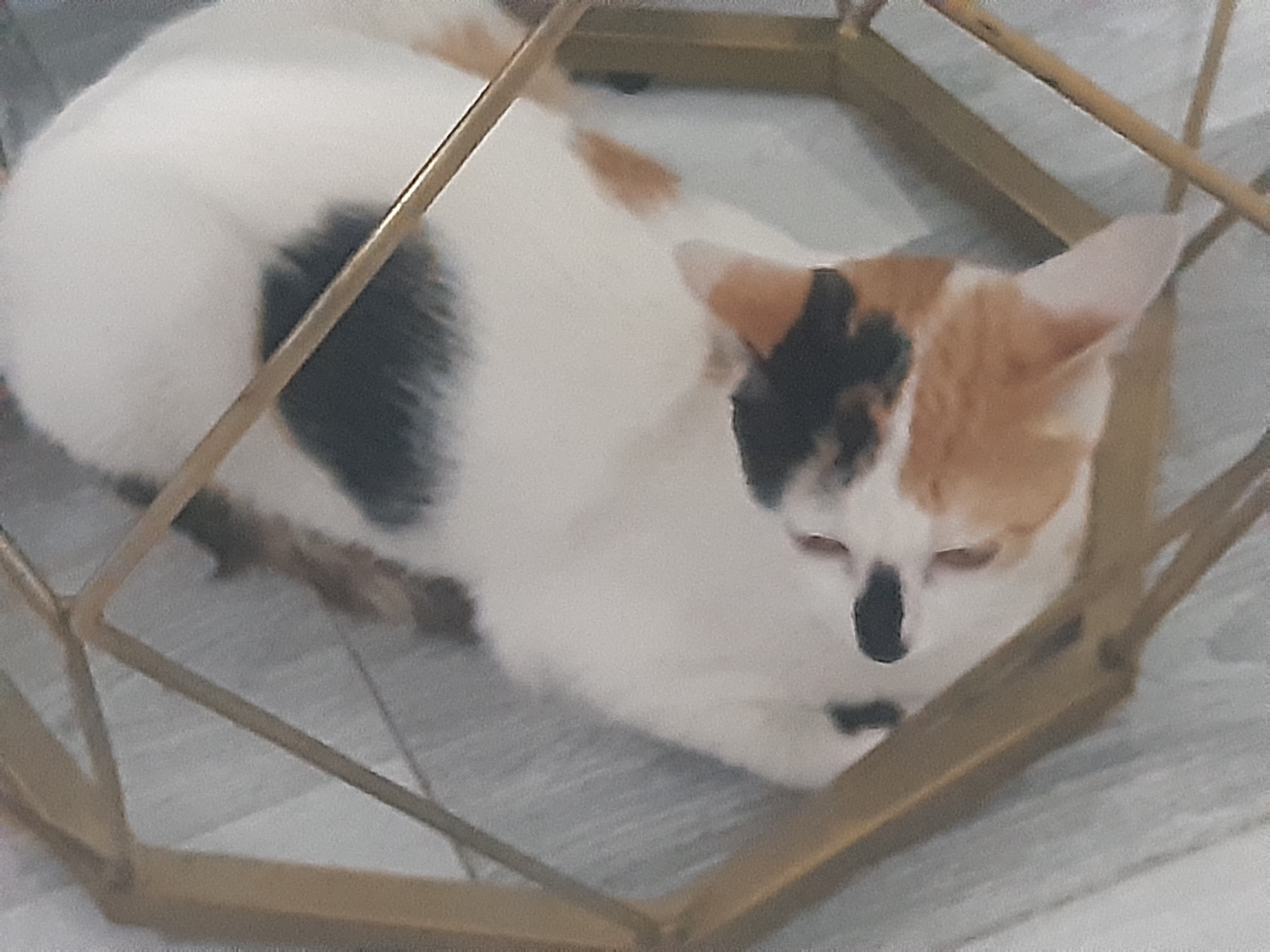 Thằng hay lụy