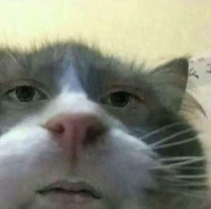 xì ke