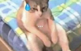 j cx đc