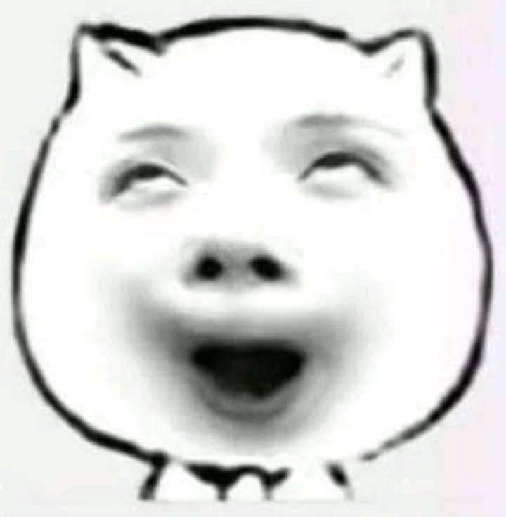 Nupakachi