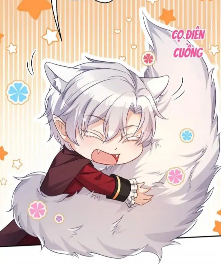 kyenmccccc