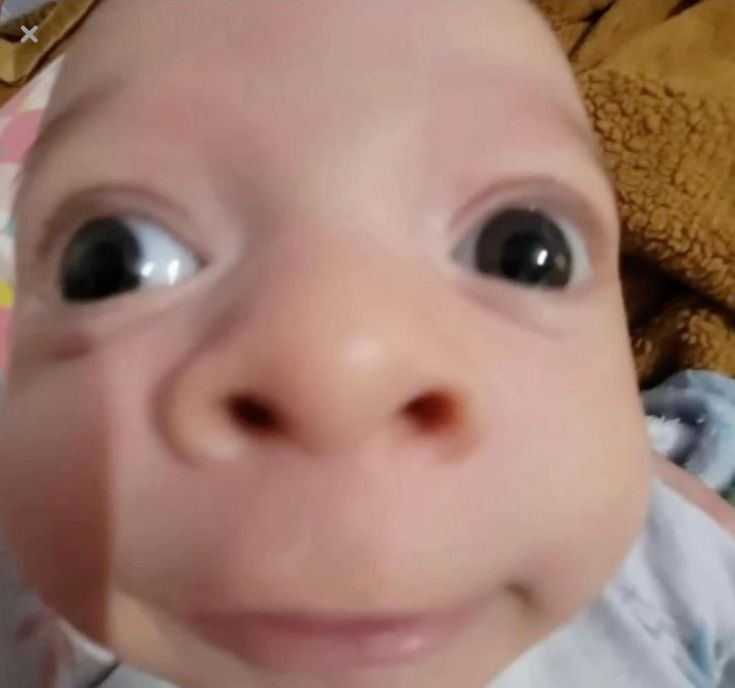 Lụy các anhhvl