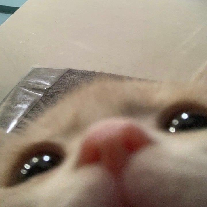 Jaewon