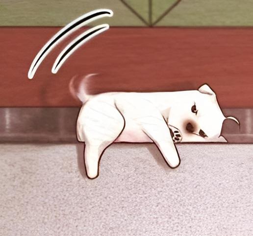 Jae Yeolgi