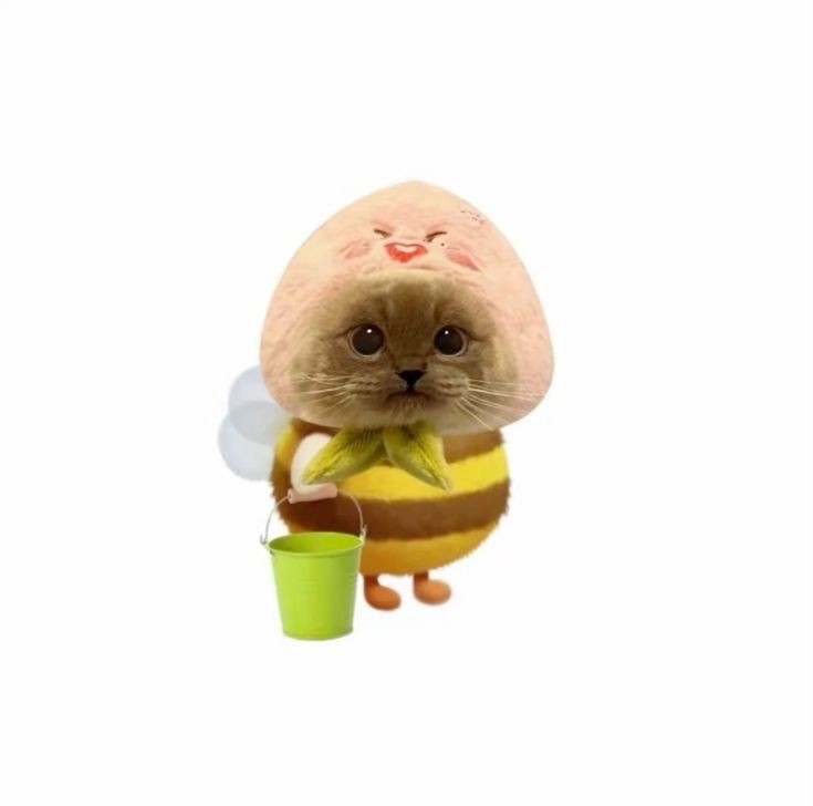 meoo kitty