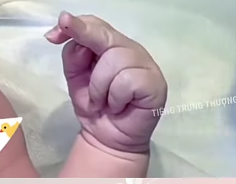tổng tài bá đạo