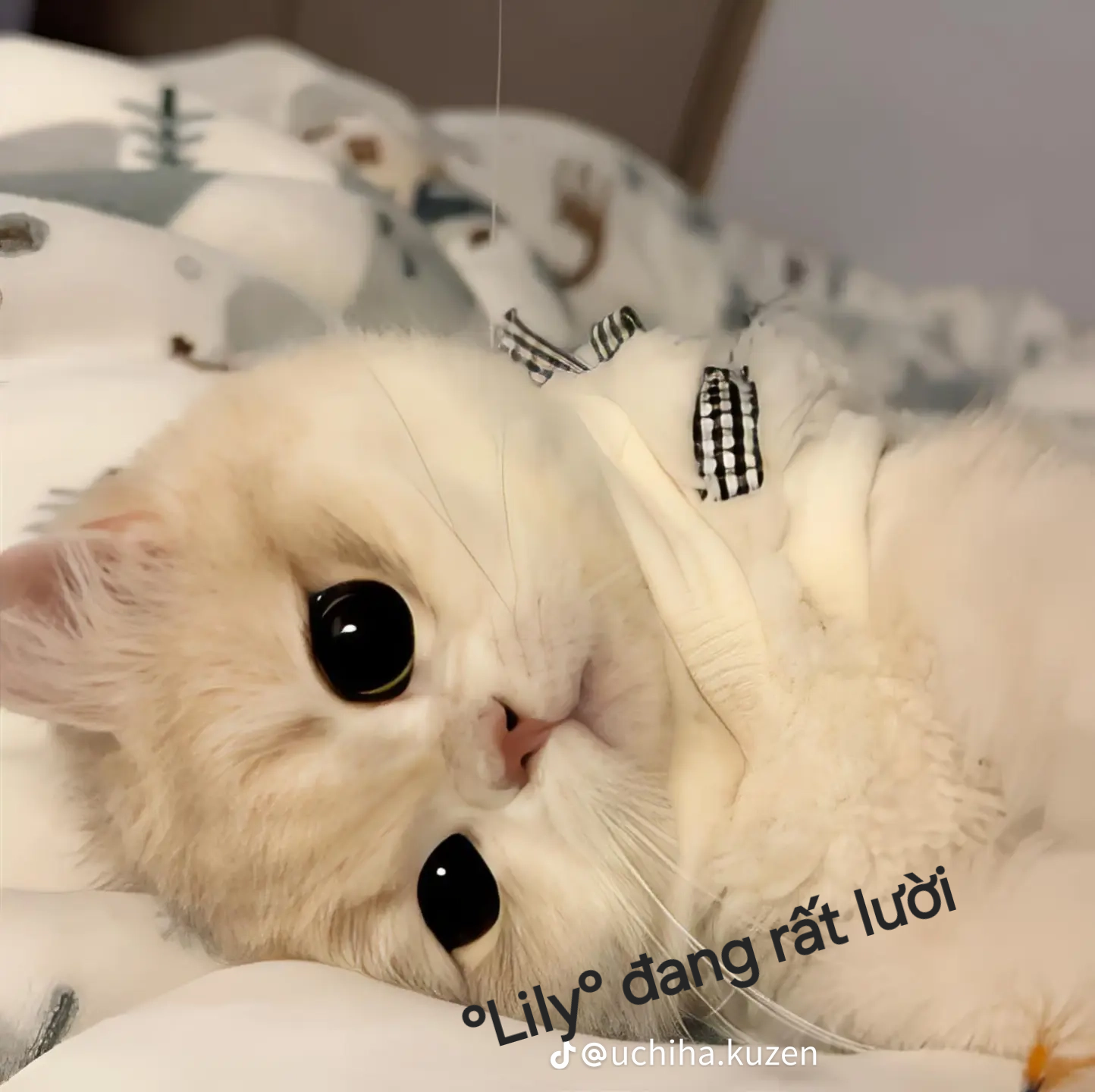 Lilyana