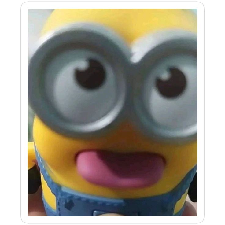 bngocchuche