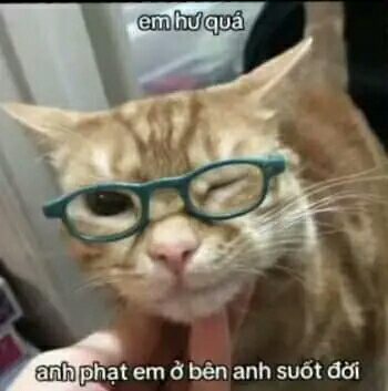 Thích Bú Lul ở Thiếu Lâm Tự