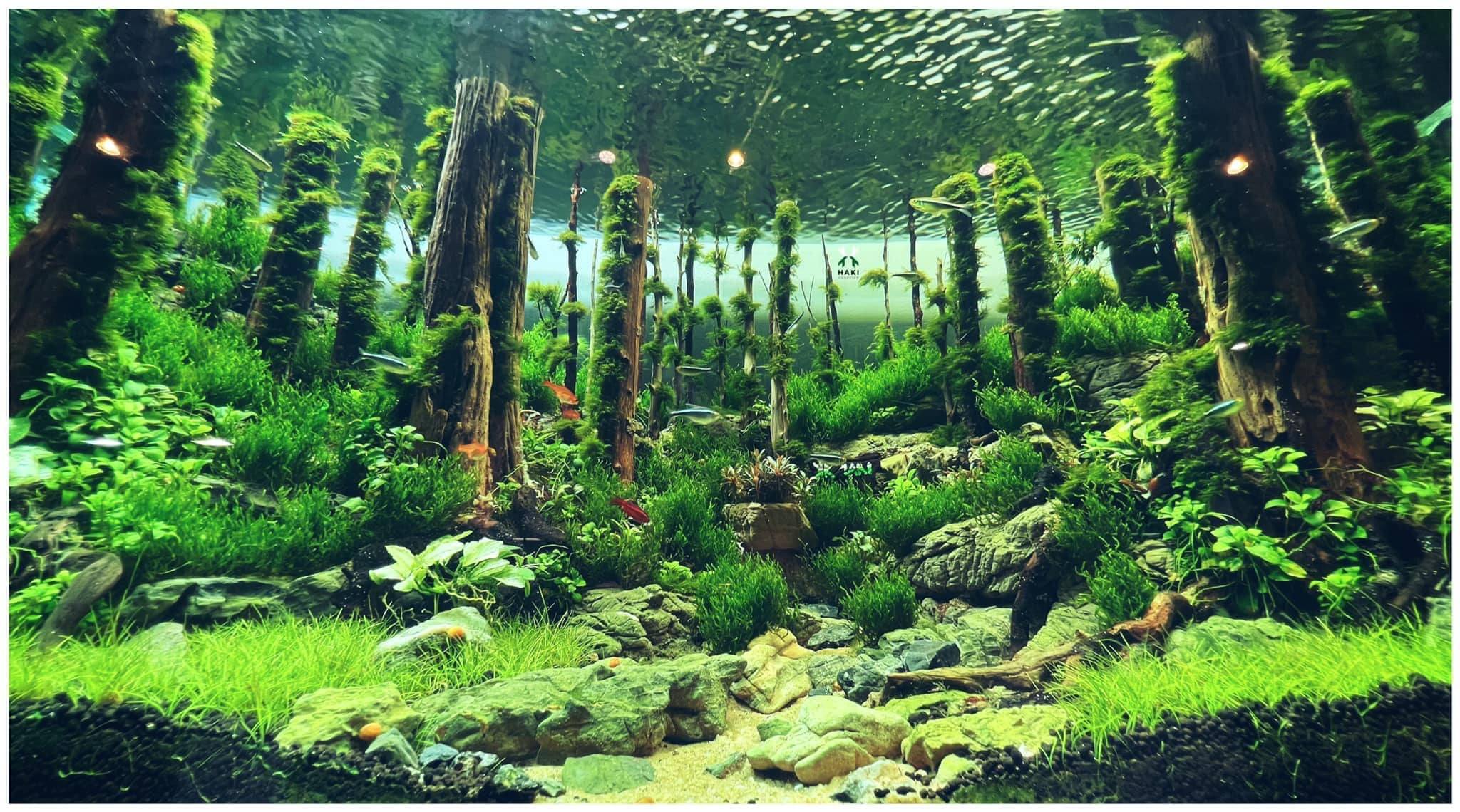 jrmichael150