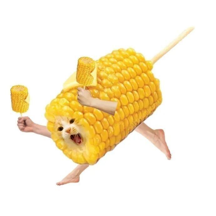 Cái Lòn Chặt Đôi
