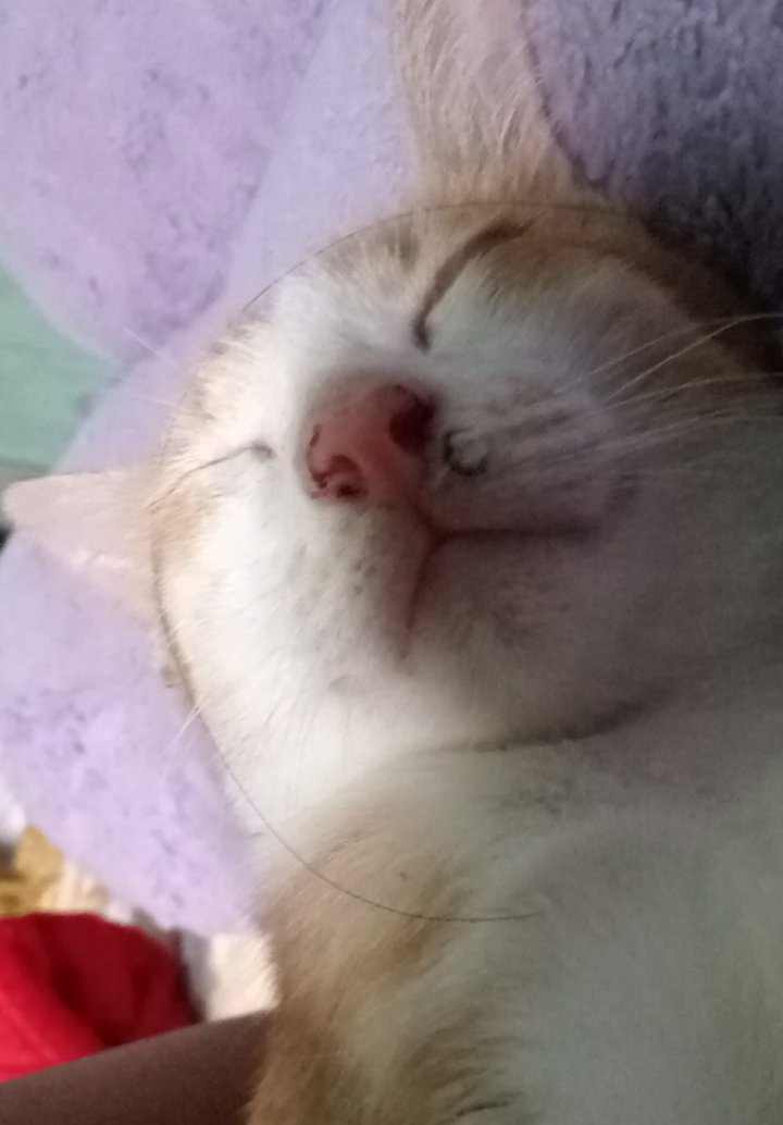 ohshittt