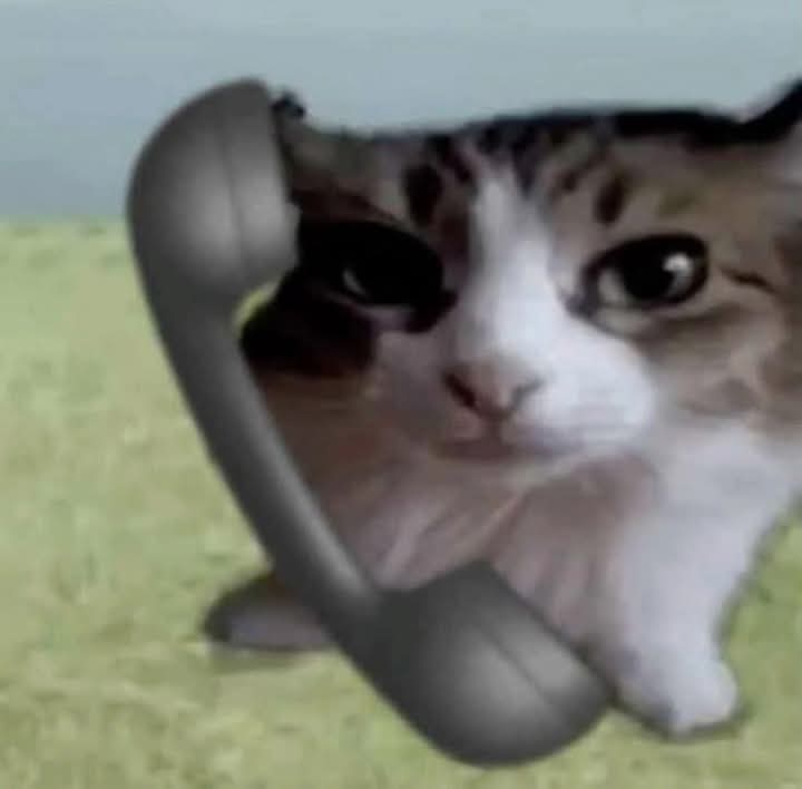 Gaokoski123