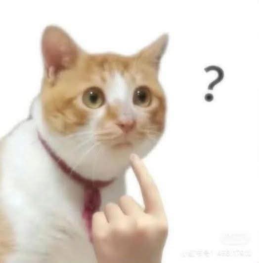 conmeokeumeomeo