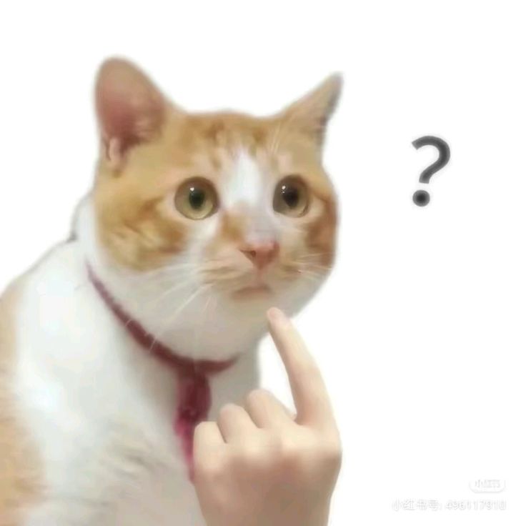 Kìn chá nà