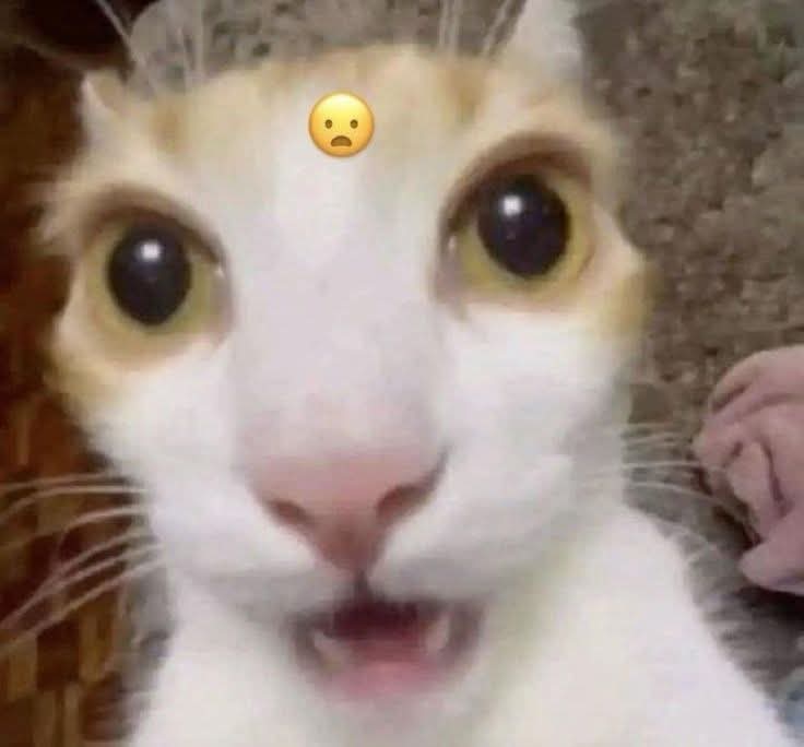 Con ku cha ba vay ne