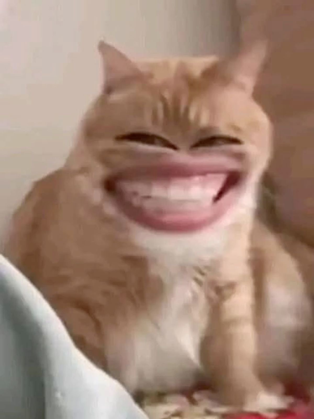 Tàu Hủ Nước Đường