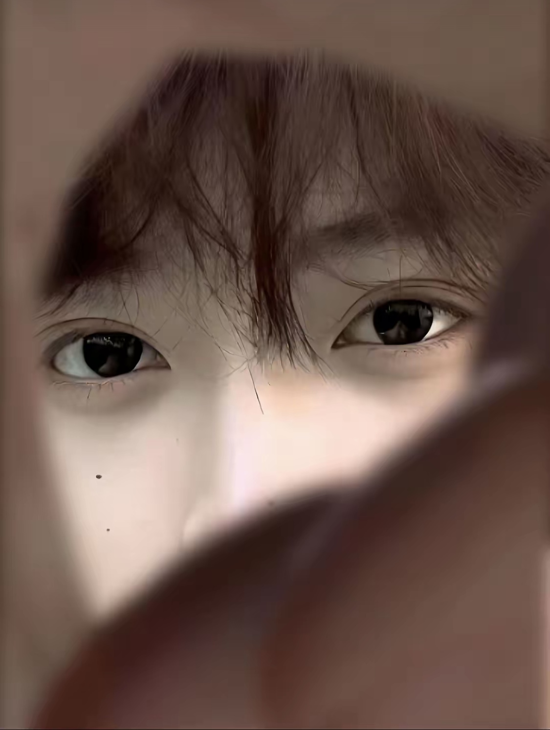 Lê min hô đồng nai