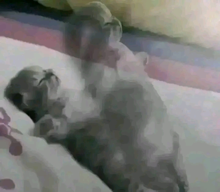 Mlem mlem