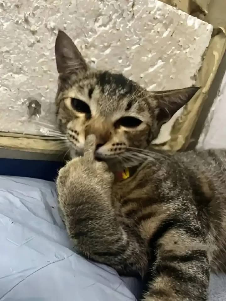 Ăn nằm với soái ca