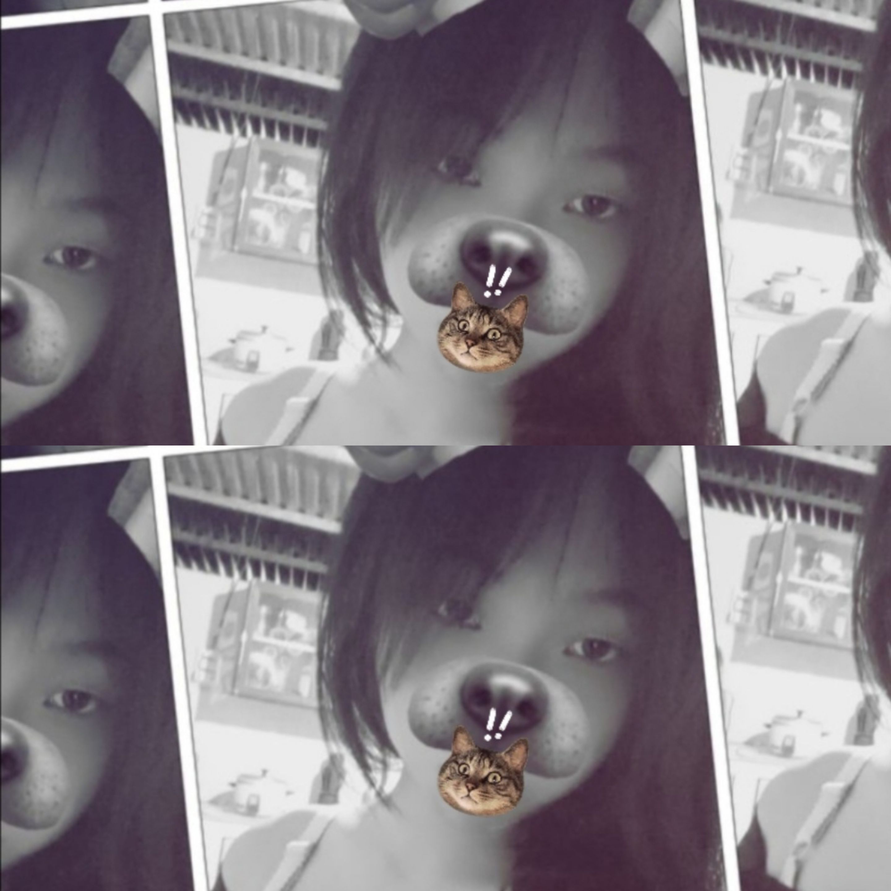 Cúnn Ơii