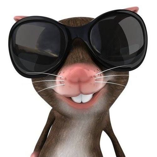 Ụt à ụt ịt