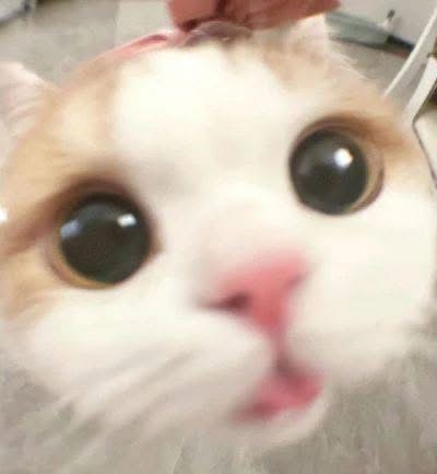 bummm