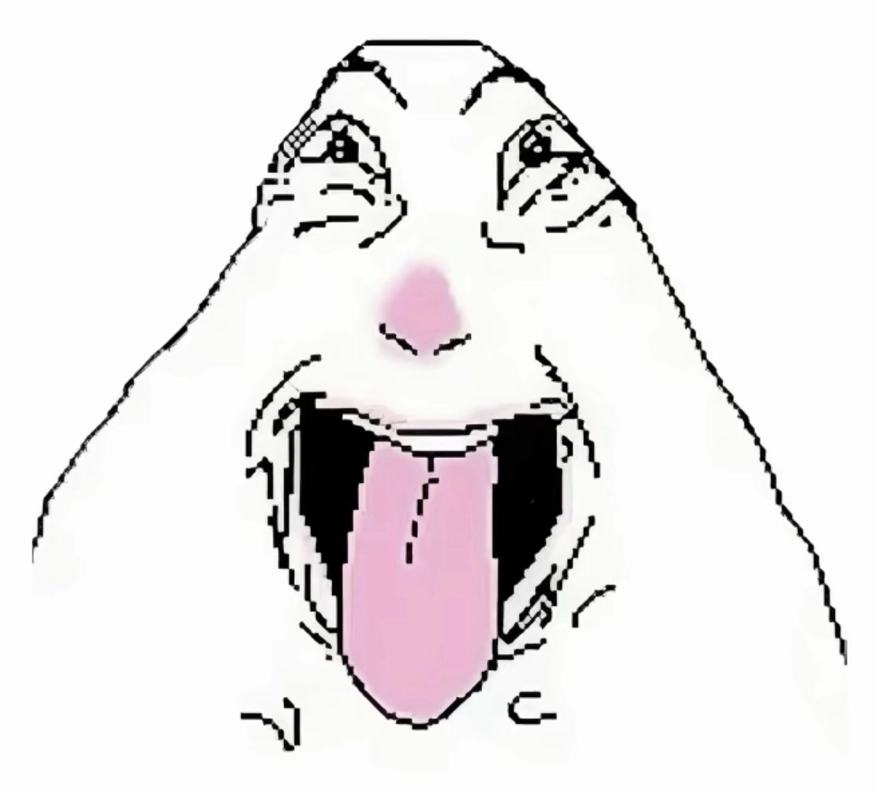 bông gòn số 1 lòng t 