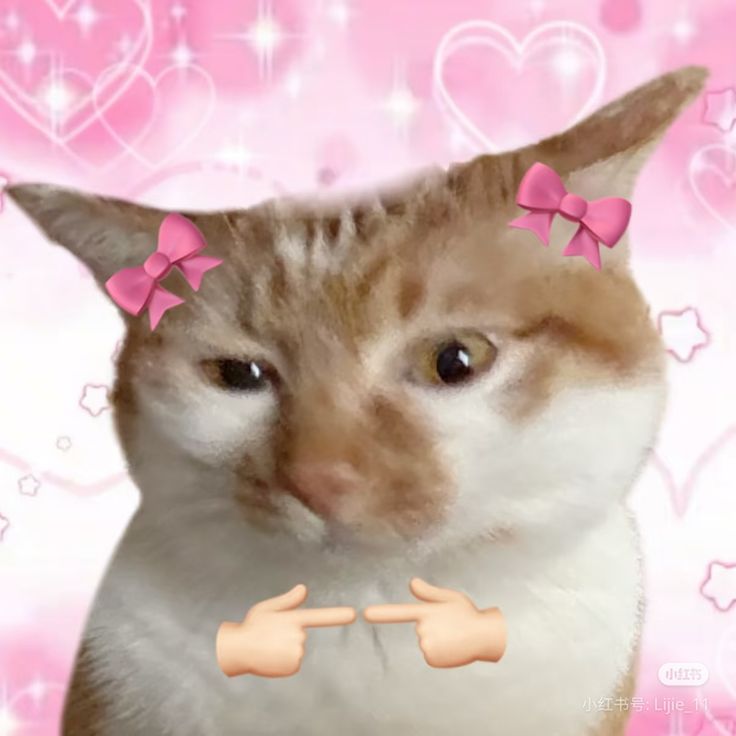 Kẻ bỷ ỏy