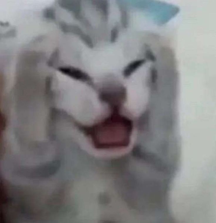 Sống Ngày Cày Đêm