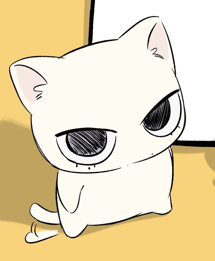 Mèo con 