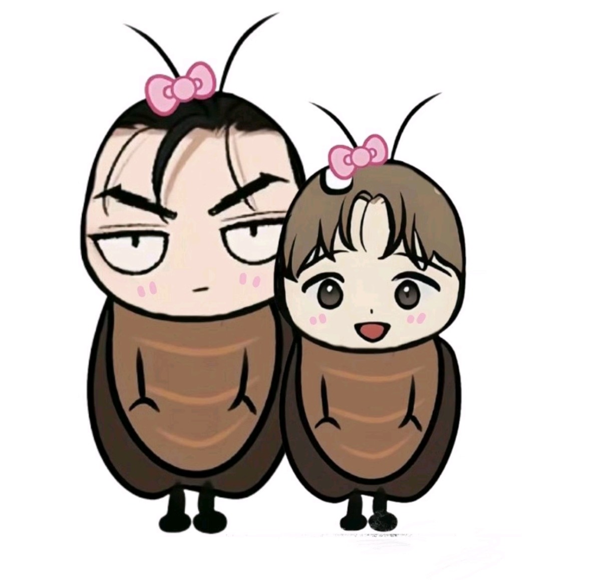 Asilia ume bl