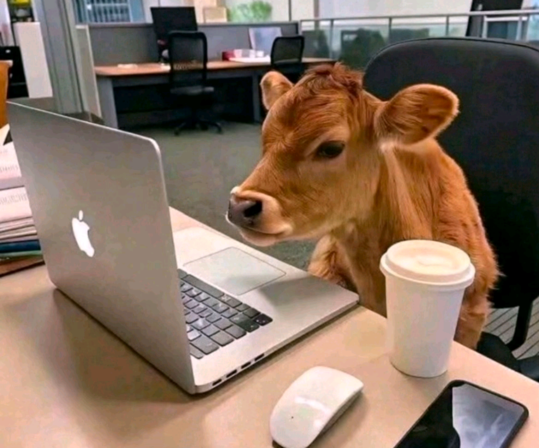 Hú hú ặc ặc