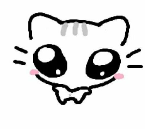 Pipi
