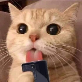 Nhà nuôi bầy quỷ đói