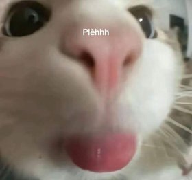 săn thịt các bé trai 