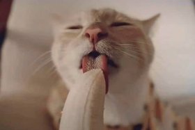 Tình yêu with 2D boys