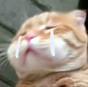 meo labubu