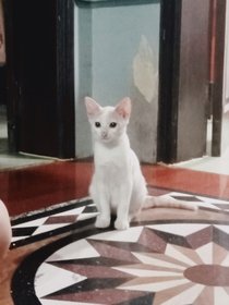 Đố biết đấyy