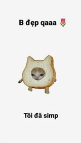 bánh kem chấm muối