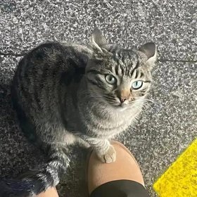 Hủ nữ đến đây