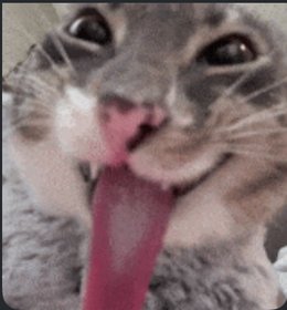 Ăn thịt đàn ông