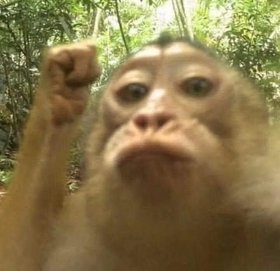 Lấy Lỗ Làm Lời