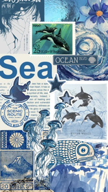 thần long tỷ tỷ