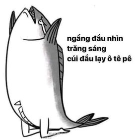 Muốn thịt anh gà tên K 